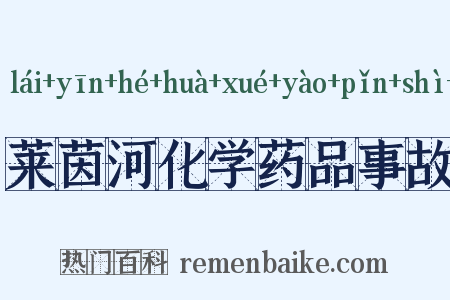 莱茵河化学药品事故是什么意思的图片